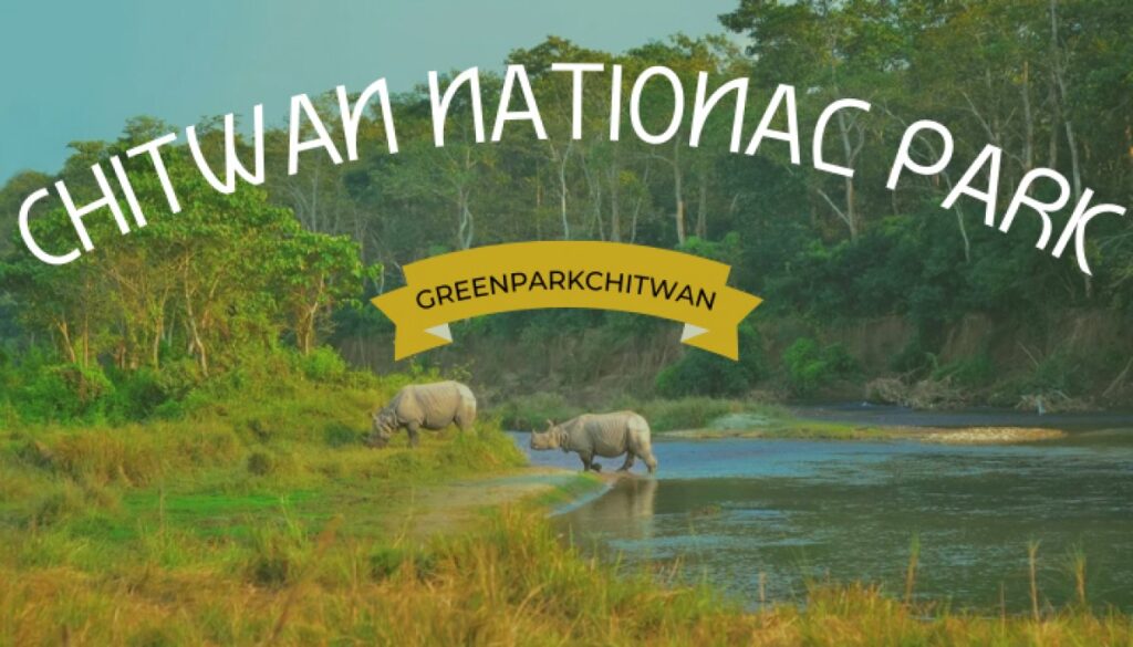Place to visit in Nepal : Chitwan National Park