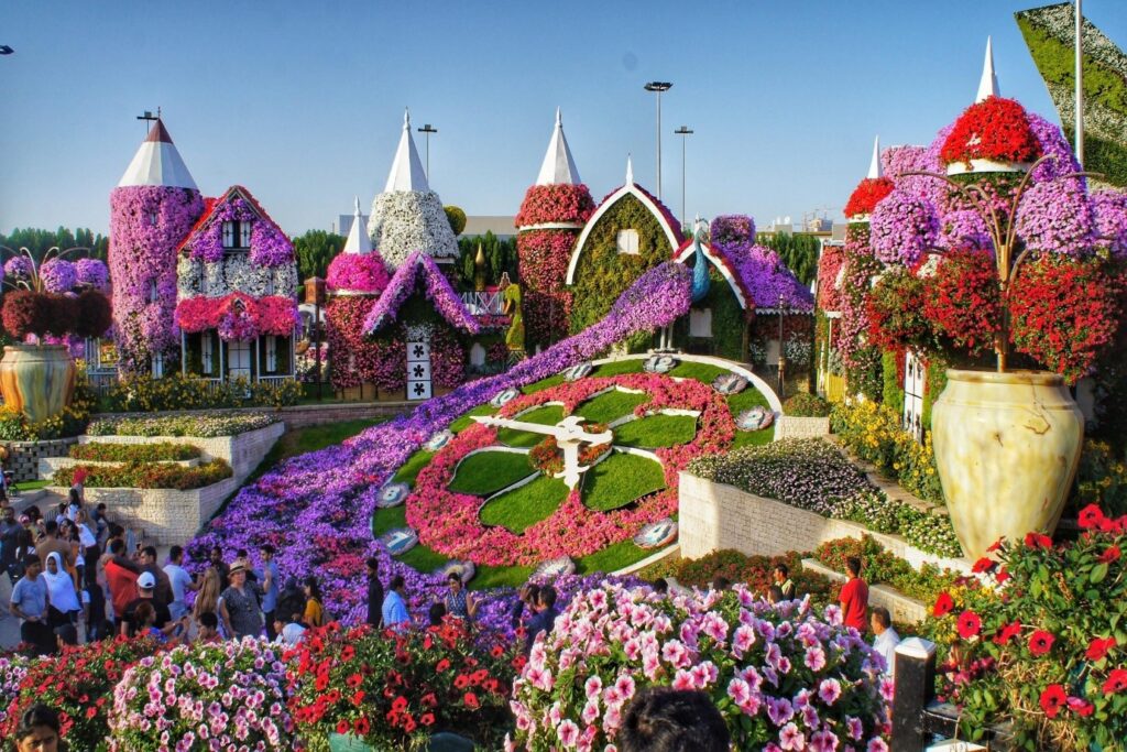 7th place to visit in Dubai - Dubai Miracle Garden